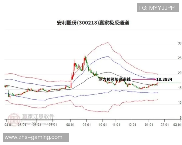 足球类股票投资机会分析与市场前景展望